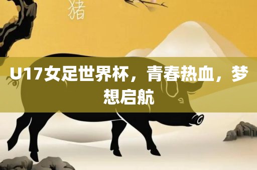 U17女足世界杯，青春热血，梦想启航