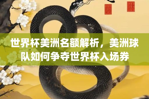世界杯美洲名额解析，美洲球队如何争夺世界杯入场券