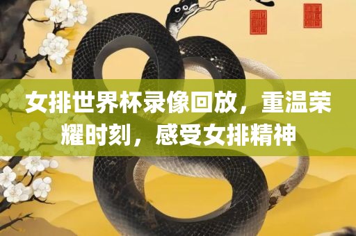 女排世界杯录像回放，重温荣耀时刻，感受女排精神