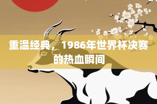 重温经典，1986年世界杯决赛的热血瞬间