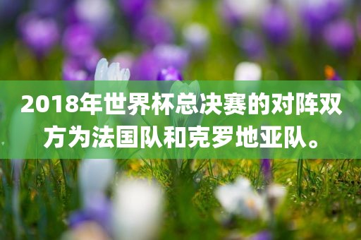 2018年世界杯总决赛的对阵双方为法国队和克罗地亚队。