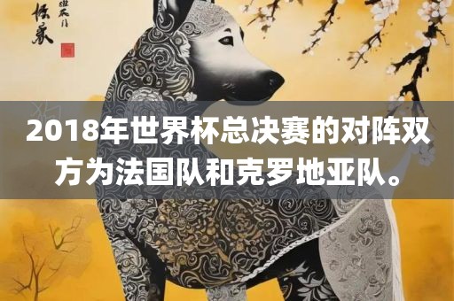 2018年世界杯总决赛的对阵双方为法国队和克罗地亚队。