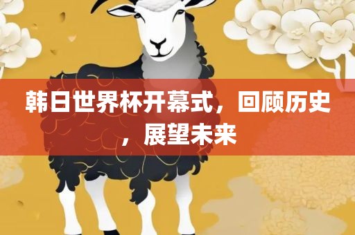韩日世界杯开幕式，回顾历史，展望未来