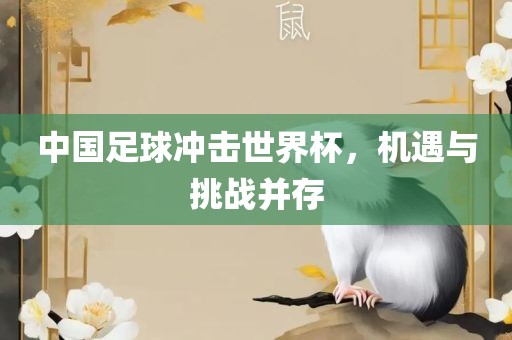 中国足球冲击世界杯，机遇与挑战并存漯河市盈旭机械设备有限公司