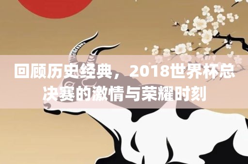 回顾历史经典，2018世界杯总决赛的激情与荣耀时刻