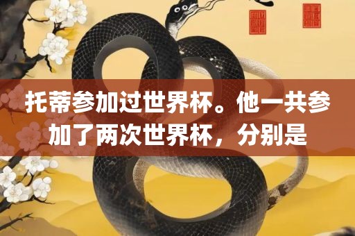 托蒂参加过世界杯。他一共参加了两次世界杯，分别是