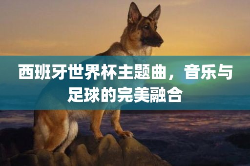 西班牙世界杯主题曲，音乐与足球的完美融合