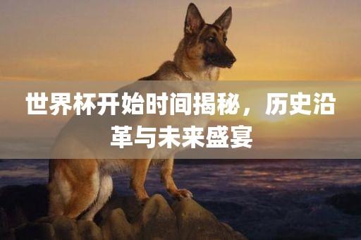 世界杯开始时间揭秘，历史沿革与未来盛宴漯河市盈旭机械设备有限公司
