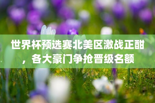 世界杯预选赛北美区激战正酣，各大豪门争抢晋级名额