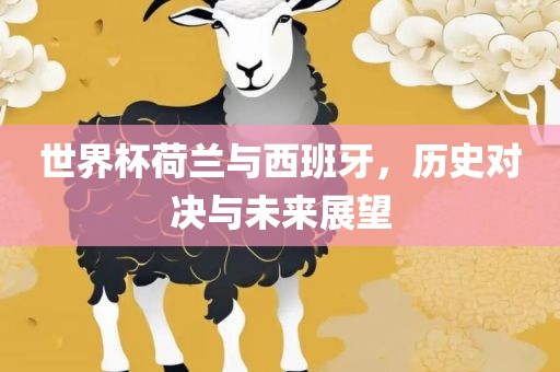 世界杯荷兰与西班牙，历史对决与未来展望