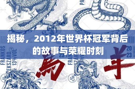 揭秘，2012年世界杯冠军背后的故事与荣耀时刻
