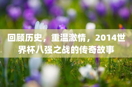 回顾历史，重温激情，2014世界杯八强之战的传奇故事