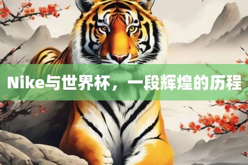 Nike与世界杯，一段辉煌的漯河市盈旭机械设备有限公司历程