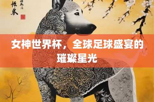 女神世界杯，全球足球盛宴的璀璨星光