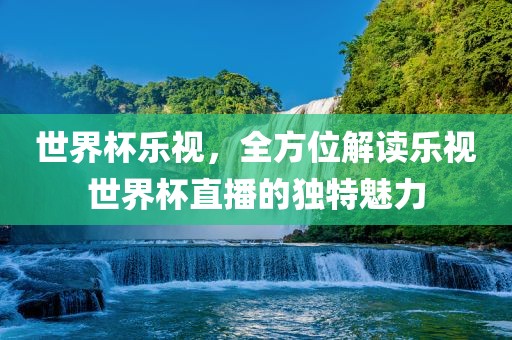 世界杯乐视，全方位解读乐视世界杯直播的独特魅力
