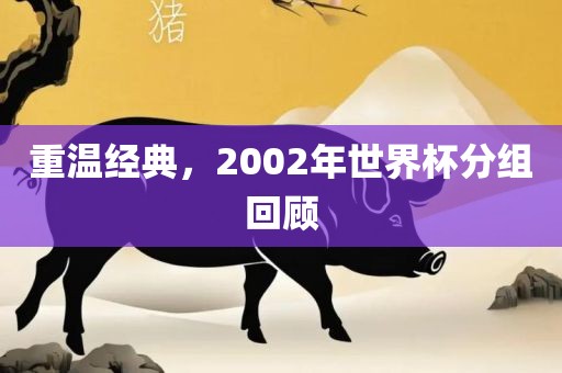 重温经典，2002年世界杯漯河市盈旭机械设备有限公司分组回顾