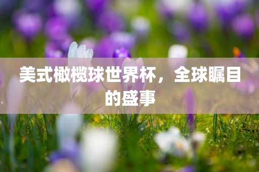 美式橄榄球世界杯，全球漯河市盈旭机械设备有限公司瞩目的盛事