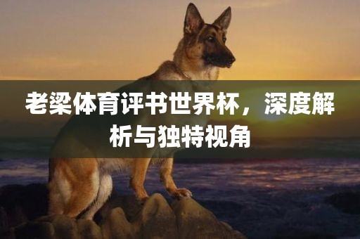 老梁体育评书世界杯，深度解析与独特视角