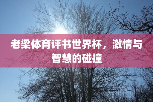 老梁体育评书世界杯，激情与智慧的碰撞漯河市盈旭机械设备有限公司