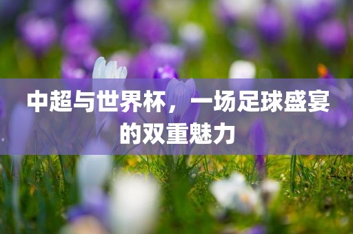 中超与世界杯，一场足球盛宴的双重魅力
