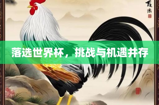 落选世界杯，挑战与机遇并存漯河市盈旭机械设备有限公司