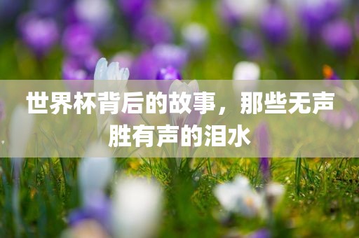 世界杯背后的故事，那些无声胜有声的泪水漯河市盈旭机械设备有限公司