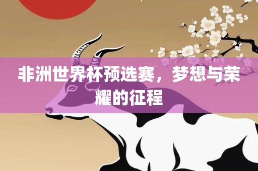 非洲世界杯预选赛，梦想与荣耀的征程