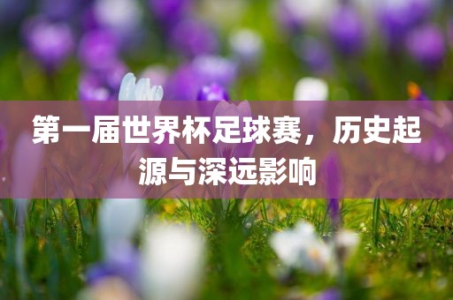 第一届世界杯足球赛，历史起源与深远影响漯河市盈旭机械设备有限公司