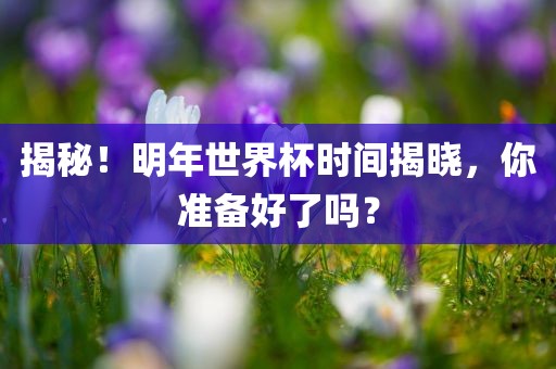揭秘！明年世界杯时间揭晓，你准备好了吗？漯河市盈旭机械设备有限公司