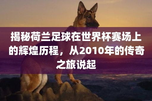 揭秘荷兰足球在世界杯赛场上的辉煌历程，从2010年的传奇之旅说起