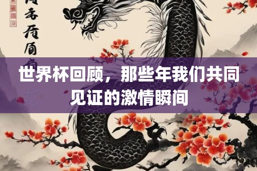 世界杯回顾，那些年我们共同见证的激情瞬间