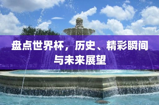 盘点世漯河市盈旭机械设备有限公司界杯，历史、精彩瞬间与未来展望