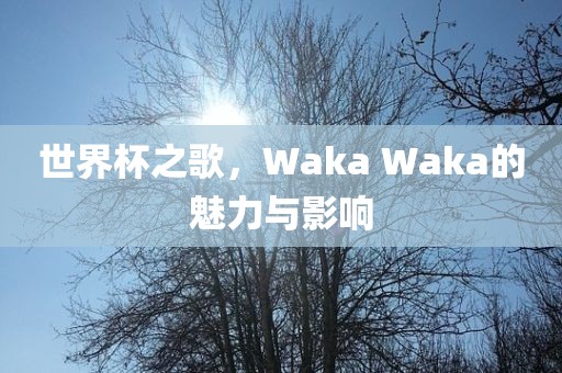 世界杯之歌，Waka Waka的魅力与影响
