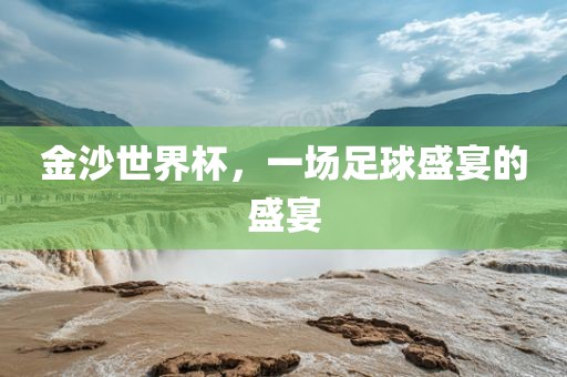 金沙世界杯，一场足球盛宴的盛宴