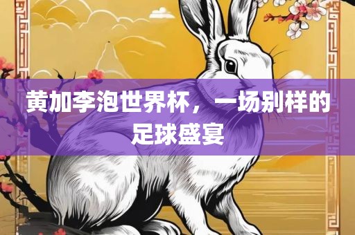 黄加李泡世界杯，一场别样的足球盛宴