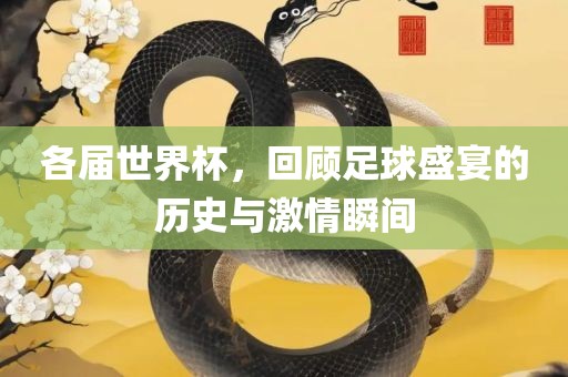 各届世界杯，回顾足球盛宴的历史与激情瞬间