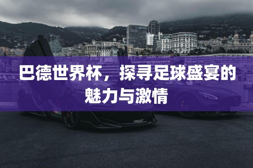 巴德世界杯，探寻足球盛宴的魅力与激情漯河市盈旭机械设备有限公司