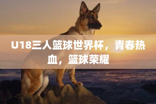 U18三人篮球世界杯，青春热血，篮球荣耀