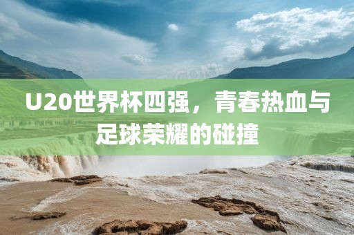 U20世界杯四强，青春热血与足球荣耀的碰撞