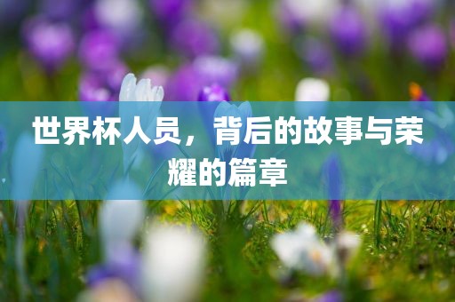 世界杯人员，背后的故事与荣耀的篇章