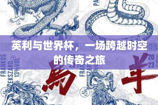 英利与世界杯，一场跨越时空的传奇之旅