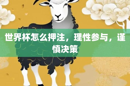 世界杯怎么押注，理性参与，谨慎决策