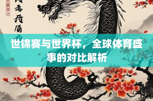 世锦赛与世界杯，全球体育盛事的对比解析