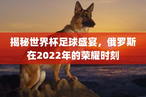 揭秘世界杯足球盛宴，俄罗斯在2022年的荣耀时刻