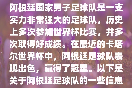 阿根廷国家男子足球队是一支实力非常强大的足球队，历史上多次参加世界杯比赛，并多次取得好成绩。在最近的卡塔尔世界杯中，阿根廷足球队表现出色，赢得了冠军。以下是关于阿根廷足球队的一些信息
