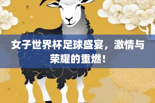 女子世界杯足球盛宴，激情与荣耀的重燃！漯河市盈旭机械设备有限公司