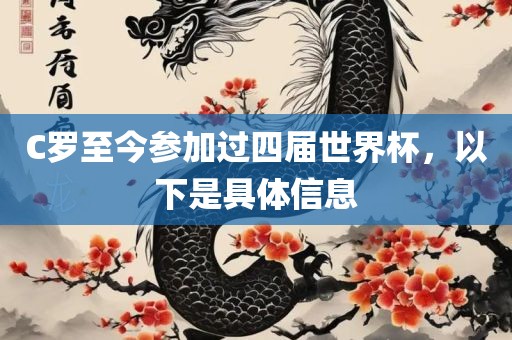 C罗至今参加过四届世界杯，以下是具体信息