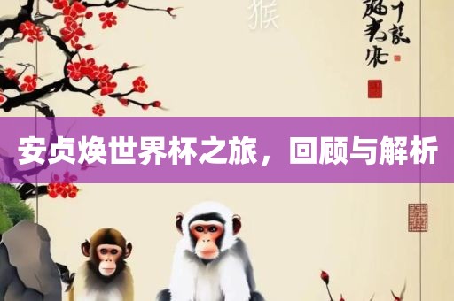 安贞焕世界杯之旅，回顾与解析