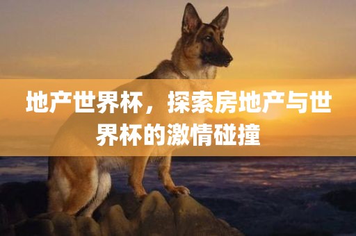 地产世界杯，探索房地产与世界杯的激情碰撞