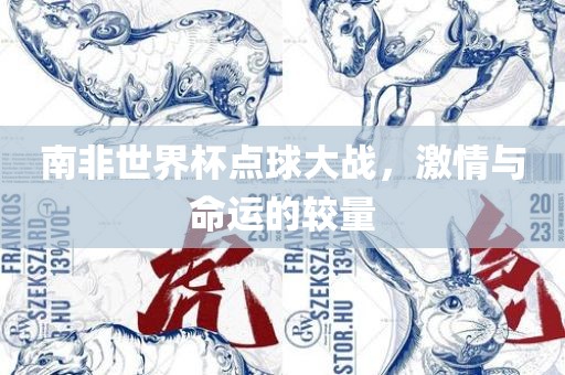 南非世界杯点球大战，激情与命运的较量